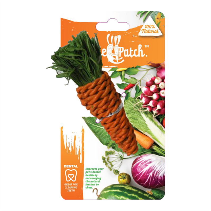 Veggie Patch Carrot Chew Toy