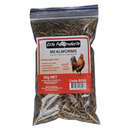 Elite Freeze Dried Mealworms