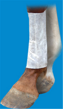 Decron Leg Wrap Poultice