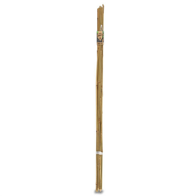 Brunnings Gardman Bamboo Cane 20pk