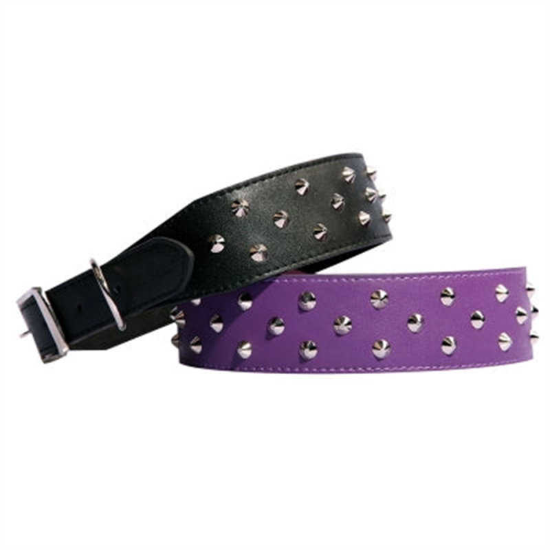 Pet One Studded Leather Dog Collar Thick Black