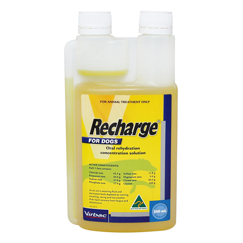 Virbac Recharge For Dogs