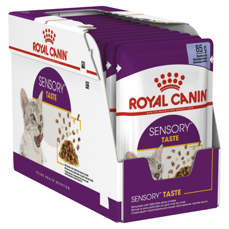 Royal Canin Sensory Taste Jelly Cat Food 85g