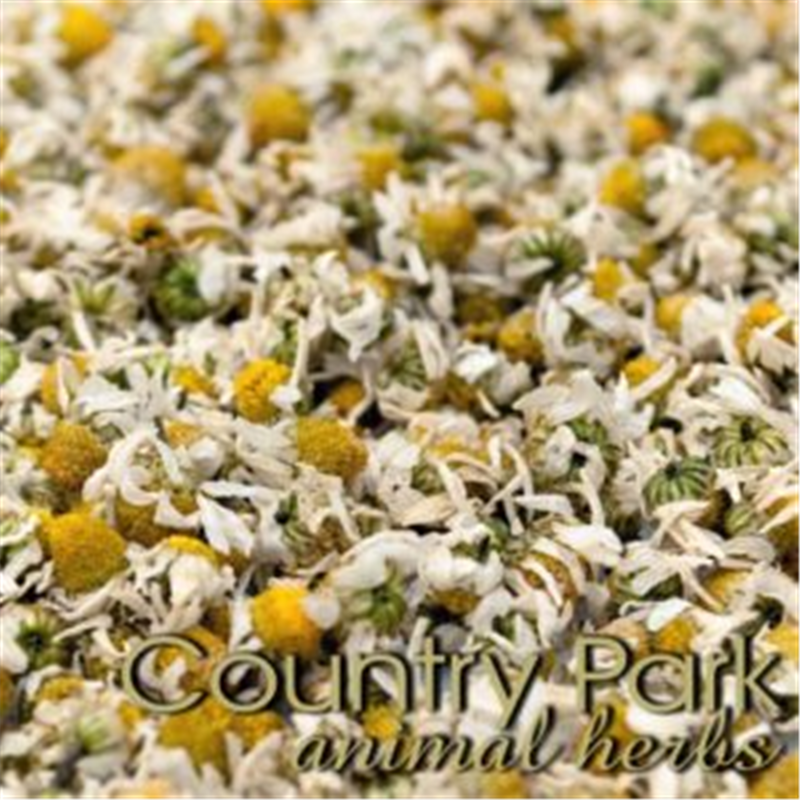 Country Park Chamomile Flowers