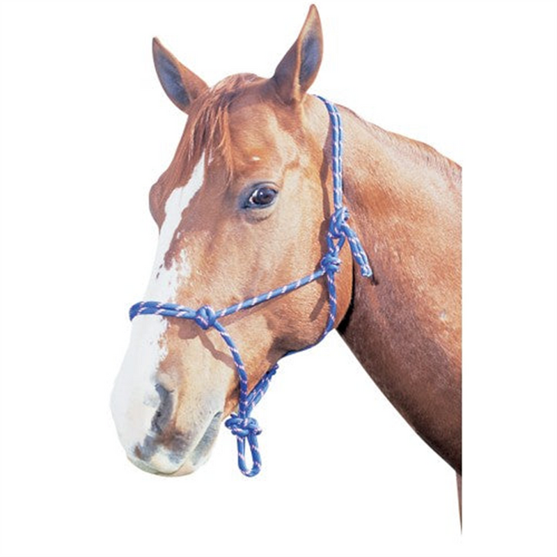 STC Horsemanship Halter Full