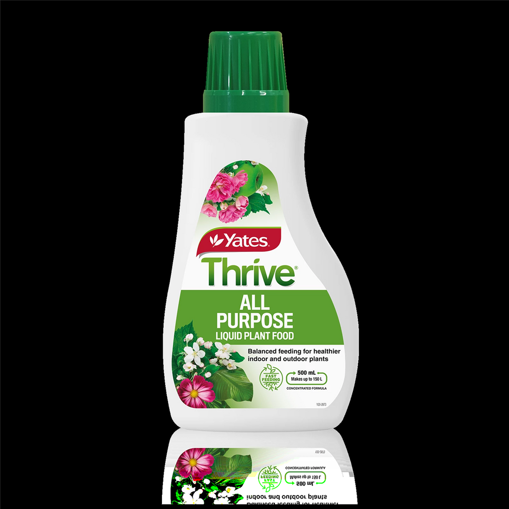 yates thrive indoor plant food Yates Thrive All Purpose Liquid Fertiliser