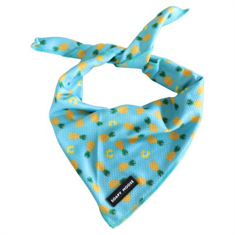 Soapy Moose Pineapple Dog Bandana