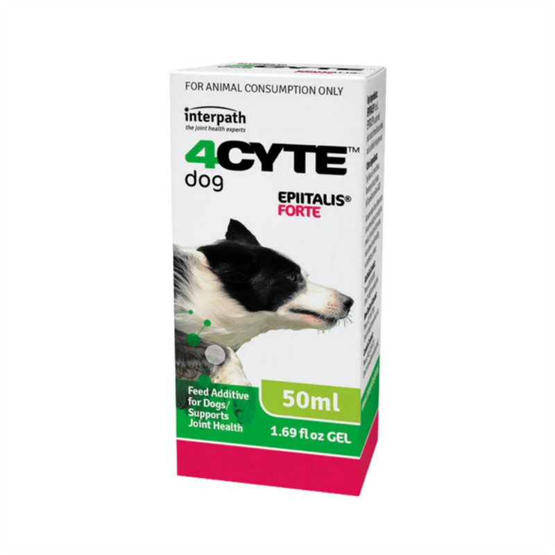 4Cyte Epiitalis Forte Gel for Dogs