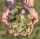 Multicube Lucerne Hay Cubes 20kg