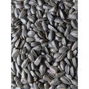 Avigrain Wild Acres Black Sunflower Seeds