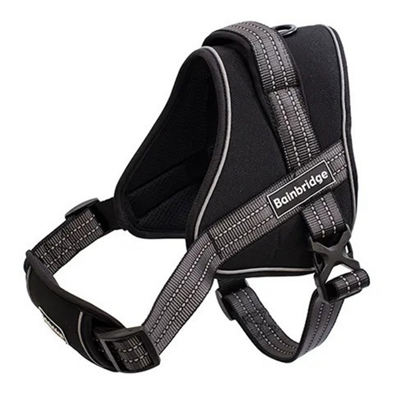 Bainbridge Padded Dog Harness