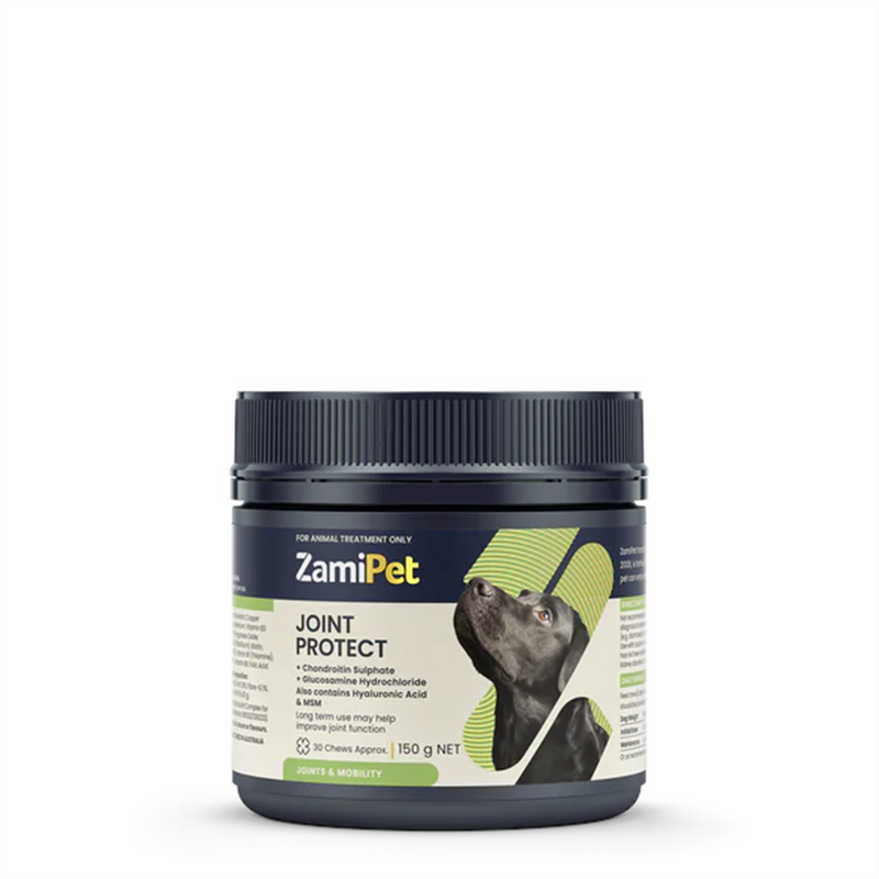 ZamiPet Joint Protect Chews for Dogs