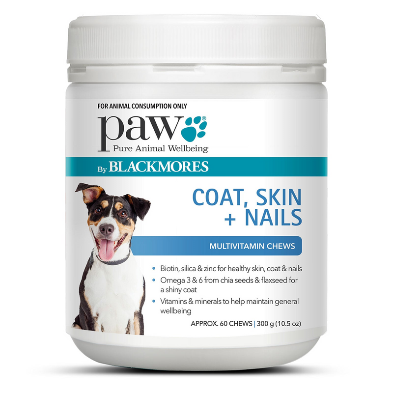 PAW Coat, Skin + Nails Multivitamin Dog Chews