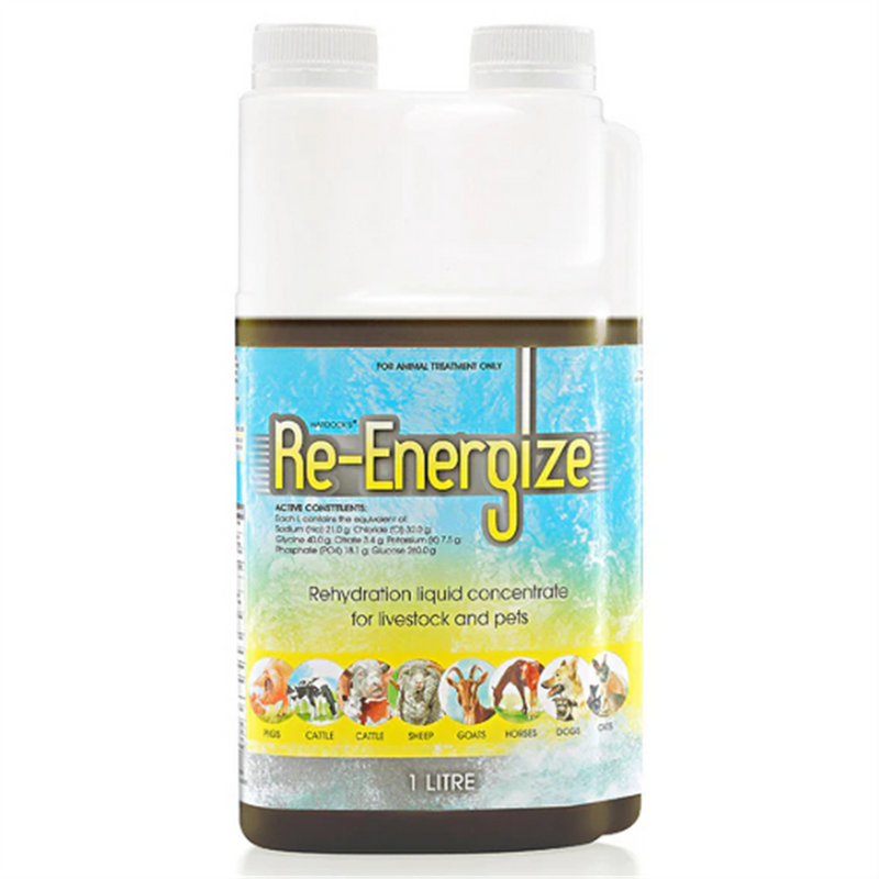 IAH Re-Energize Concentrate
