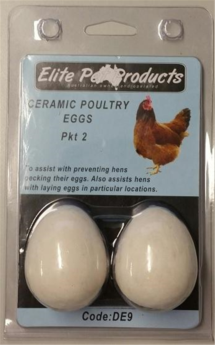 Elite Dummy Ceramic Poultry Egg 2pk