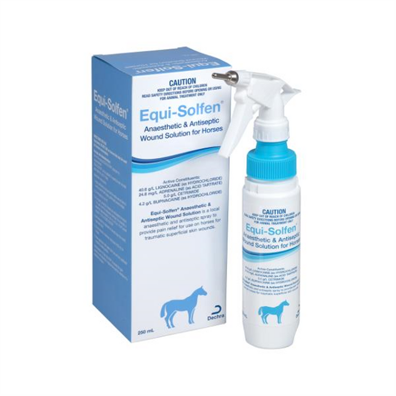 Dechra EquiSolfen 250ml