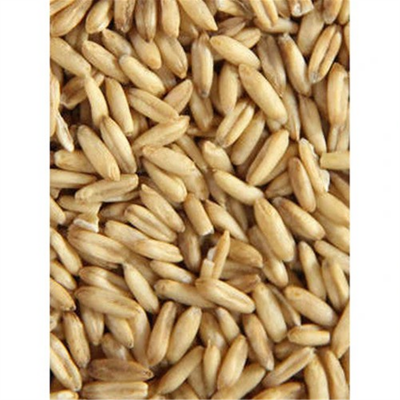 Avigrain Hulled Oats