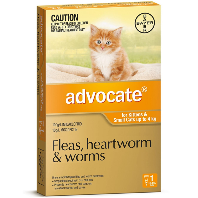 Advocate for Kittens & Small Cats up to 4kg