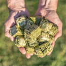 Multicube Lucerne & Oaten Hay Cubes 20kg