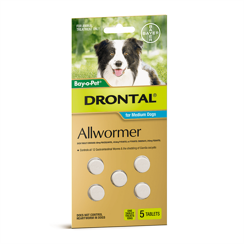 Bayer Drontal Allwormer for Medium Dogs (up to 10kg)