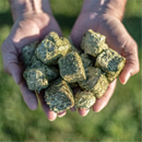 Multicube Teff & Lucerne Hay Cubes 20kg