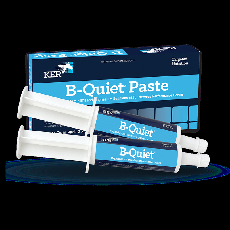 KER B-Quiet Paste