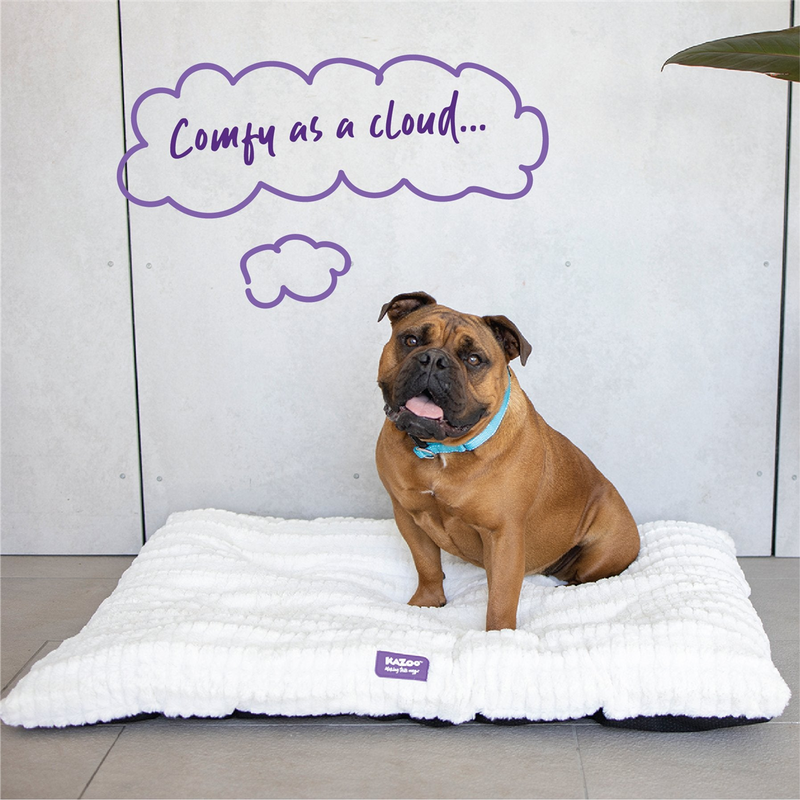 Kazoo Cloud Cushion Dog Bed Cream