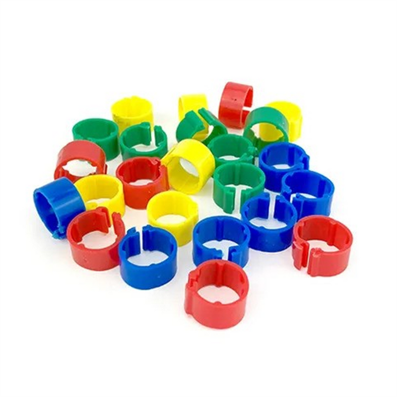 Bainbridge Leg Bands Mixed 24pk