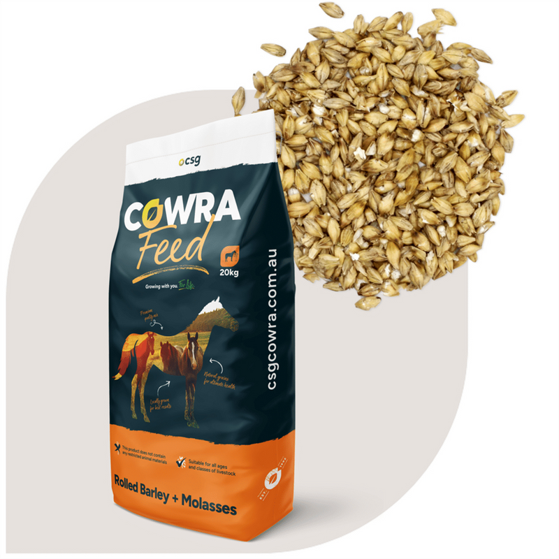 Cowra Rolled Barley + Molasses 20kg