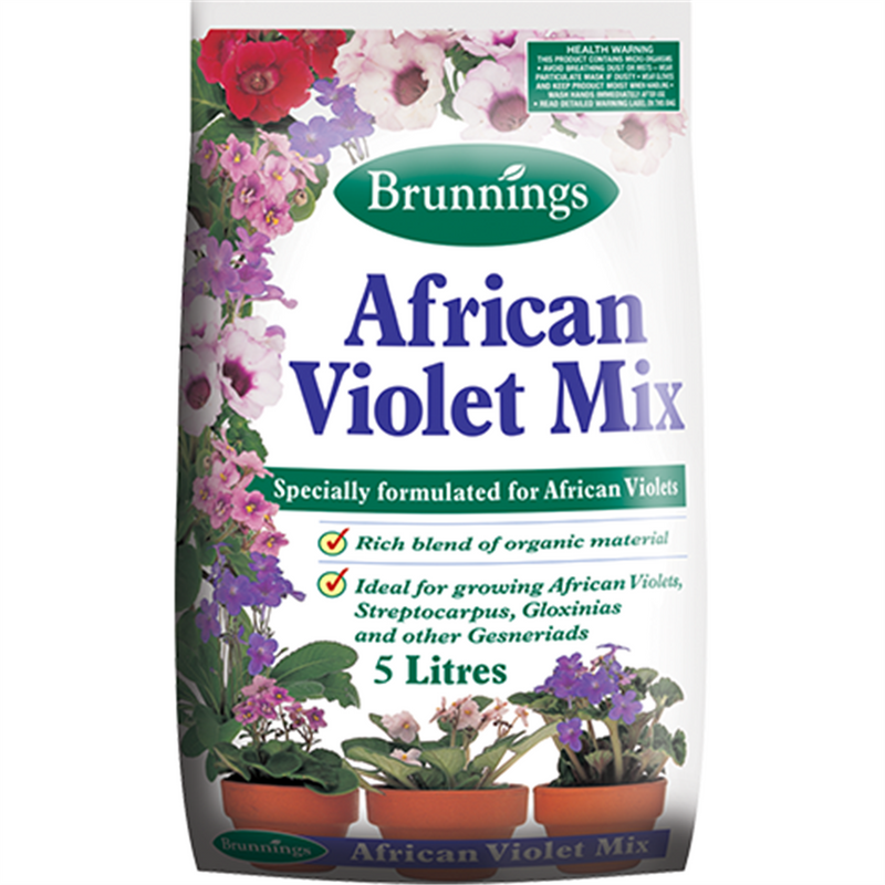 Brunnings African Violet Mix