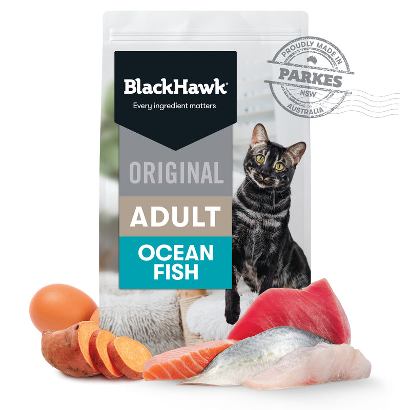 Black Hawk Ocean Fish Cat Food