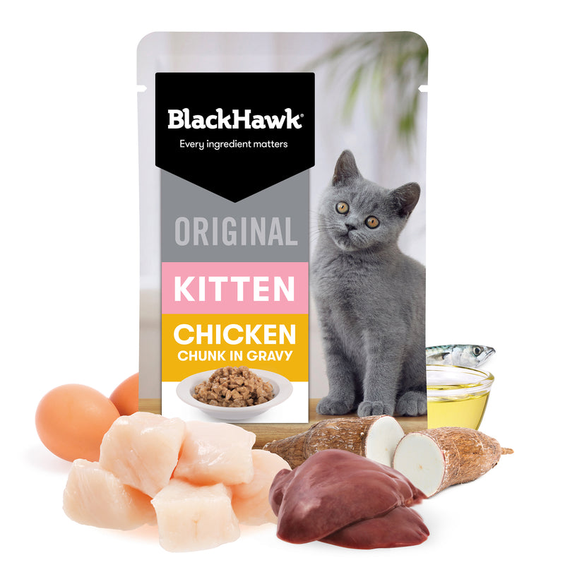 Black Hawk Chicken in Gravy Kitten Food 85g