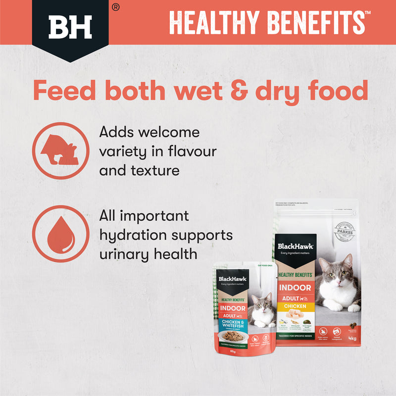 Black Hawk Healthy Benefits Indoor Cat Food 85g
