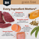 Black Hawk Grain Free Kangaroo Dog Food