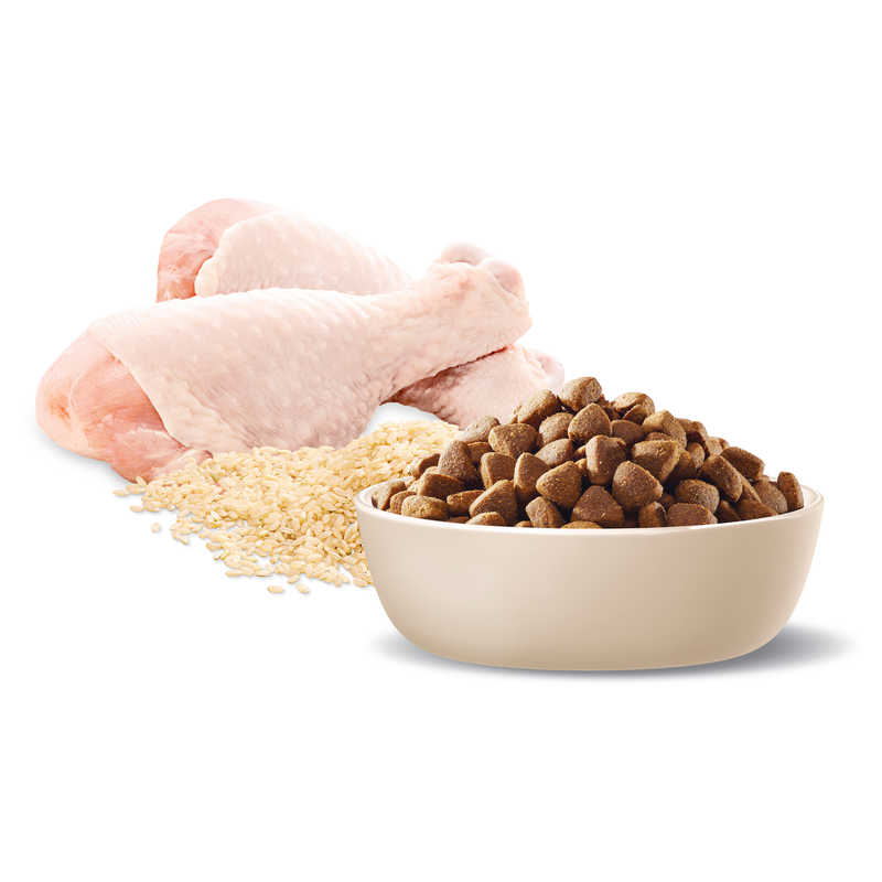 Advance Chicken & Rice Medium Dog Food 15kg