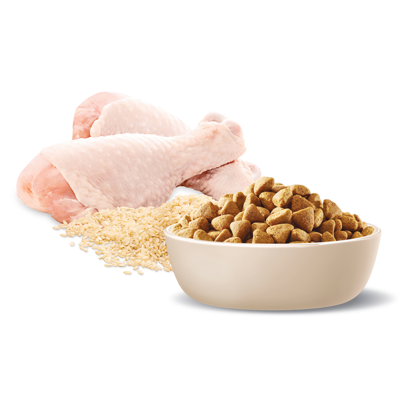 Advance Chicken Healthy Weight Medium Dog Food 13kg
