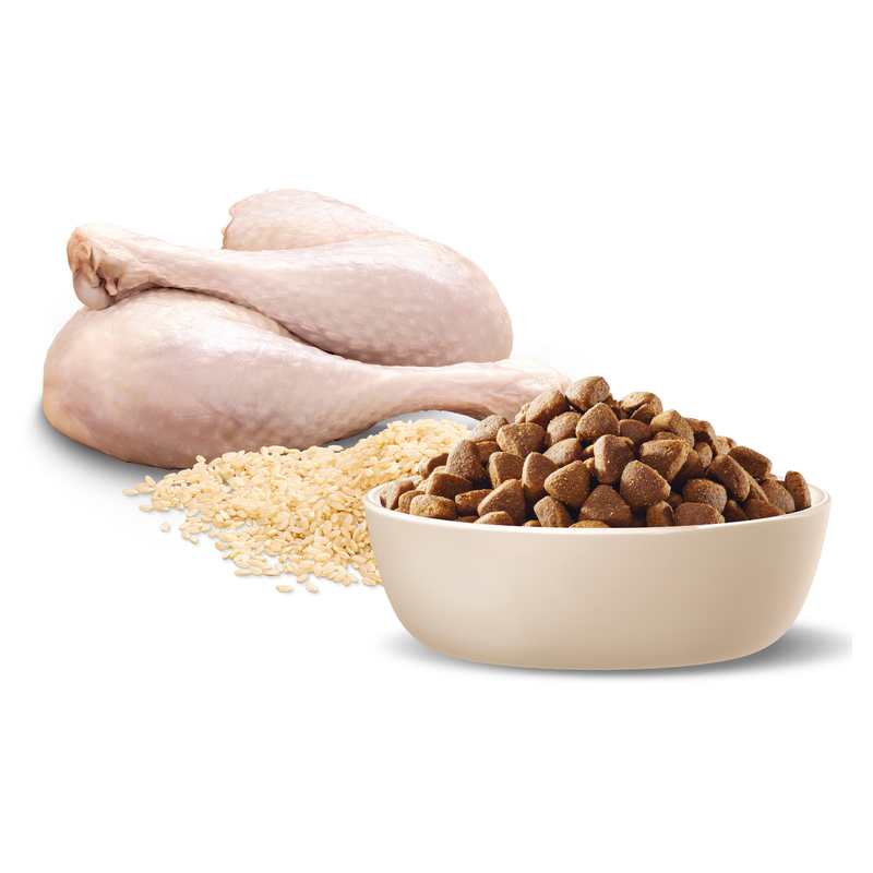 Advance Turkey & Rice Medium Dog Food