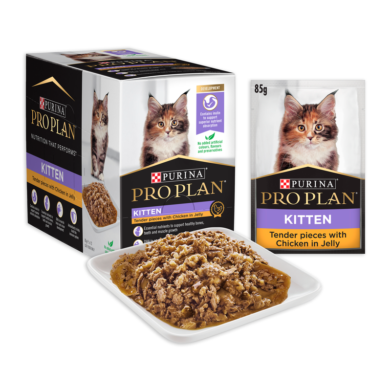 Pro Plan Chicken in Jelly Kitten Food 85g