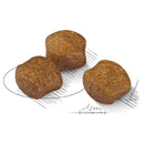 Royal Canin Medium Dental Care Dog Food 3kg - Raymonds Warehouse
