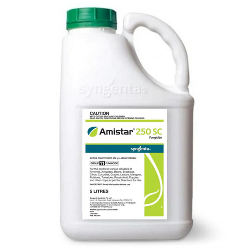 Syngenta Amistar 250 SC Fungicide