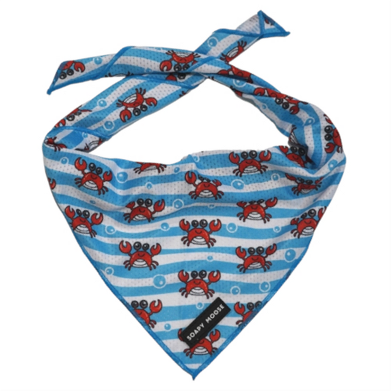 Soapy Moose Crabbies Dog Bandana