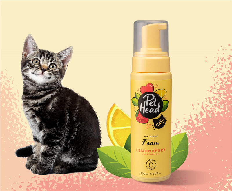 Pet Head Felin' Good No Rinse Cat Foam