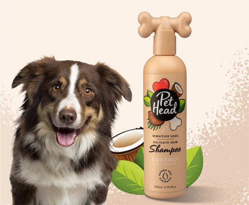 Pet Head Sensitive Soul Delicate Skin Dog Shampoo