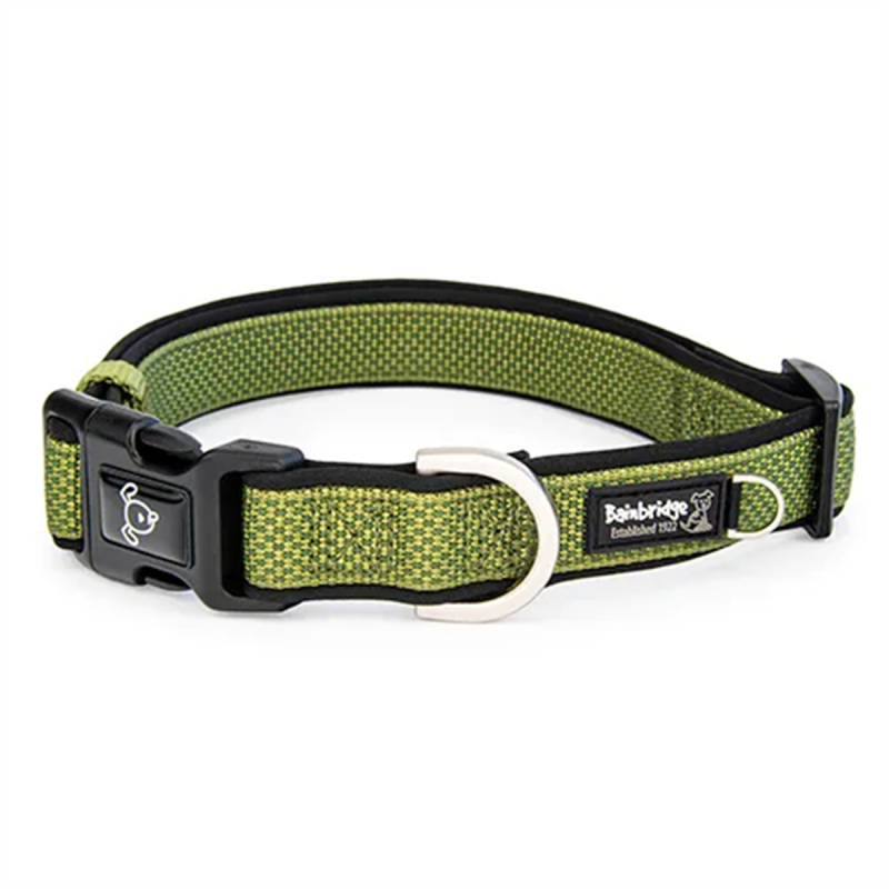 Bainbridge Premium Neoprene Dog Collar Green