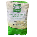 GVN Lucerne Hay Mini Bale