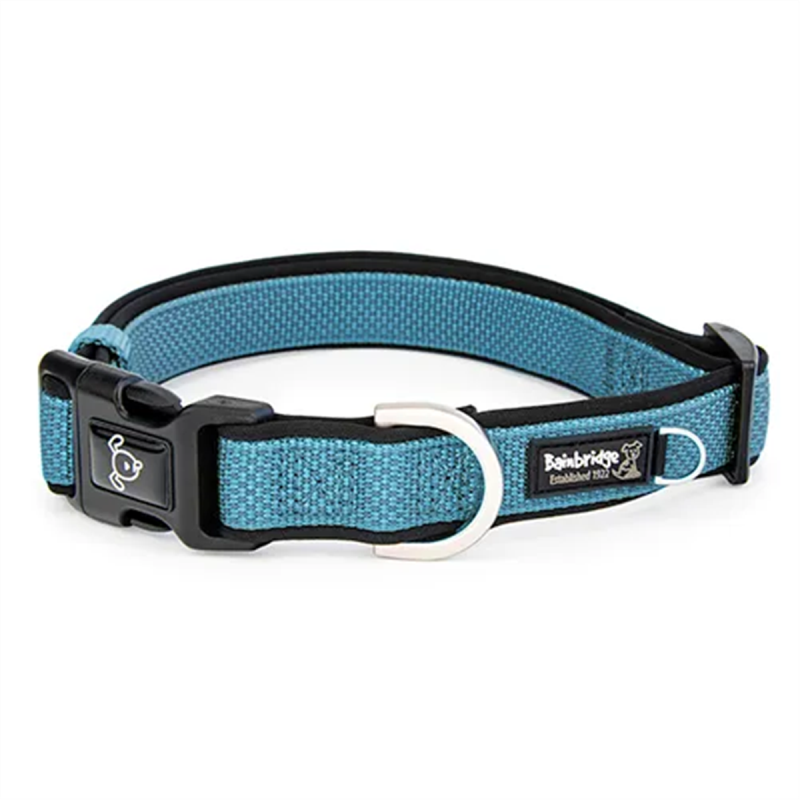 Bainbridge Premium Sport Dog Collar Blue Small