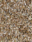 Avigrain Linseed 25kg