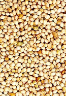 Avigrain White French Millet 20kg
