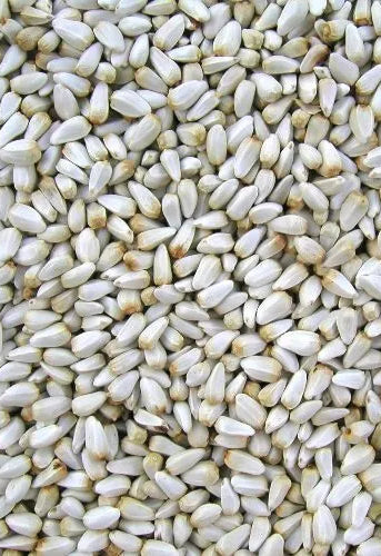 Avigrain Safflower Seed 15kg