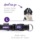 Kazoo Classic Easy-clip Dog Collar Black